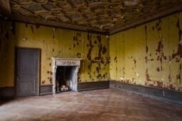 Empty room at Alder Manor with peeling yellow walls, a carved ceiling and a fireplace